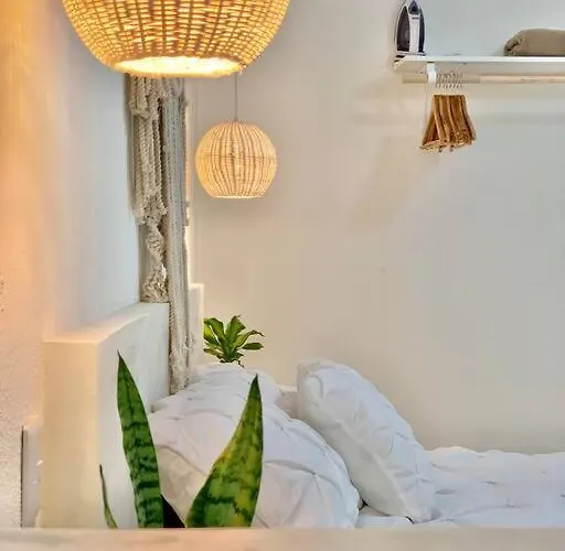 Apartamento Casa Añuiti Céntrica Ubicación. San José del Cabo